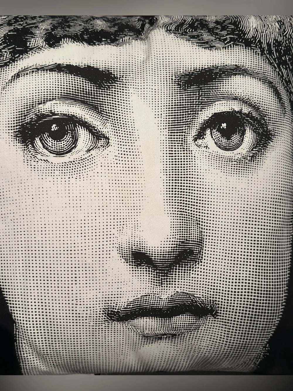 NEW RARE FORNASETTI PILLOW ITALY TEMA E VARIAZIONI 2 SIDED GRAPHIC COLLECTORS